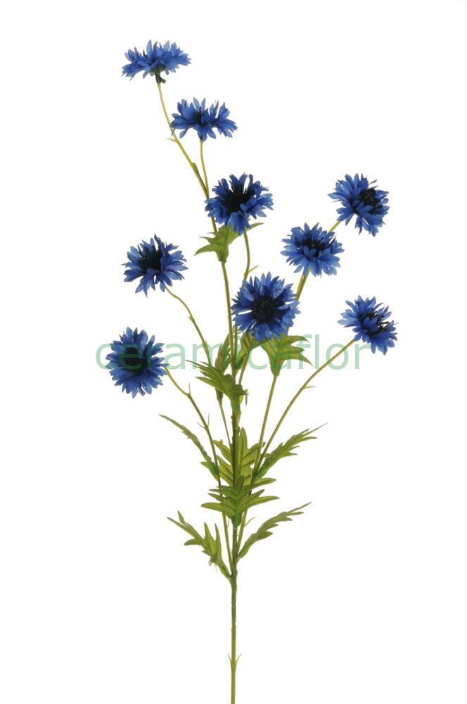 CORN FLOWER SRAY X9 H81