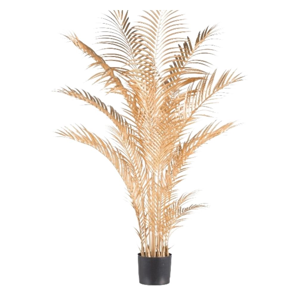 ceramica-flor-natale-2024-010