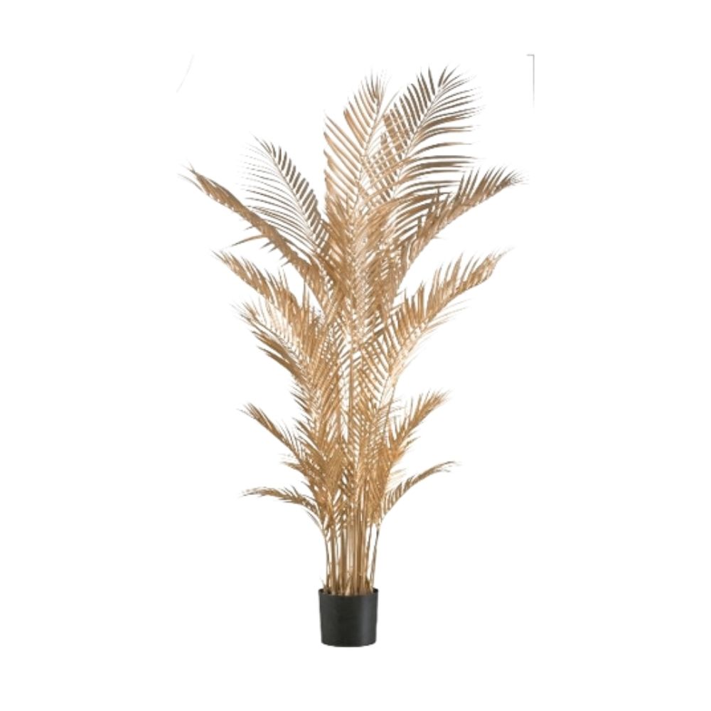 ceramica-flor-natale-2024-011