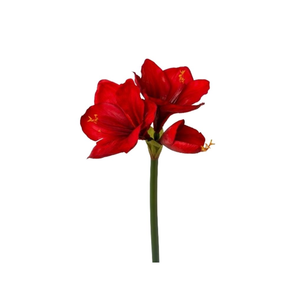ceramica-flor-natale-2024-07